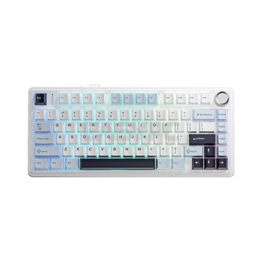AULA F75 | GLACIER PURPLE | 80 KEYS | 75% COMPACT LAYOUT | PER-KEY RGB BACKLIGHT | VOLUME KNOB | TRI-MODE 2.4GHZ WIRELESS + BLUETOOTH + WIRED | REAPER MECHANICAL SWITCH | 6 MONTHS WARRANTY KEYBOARD