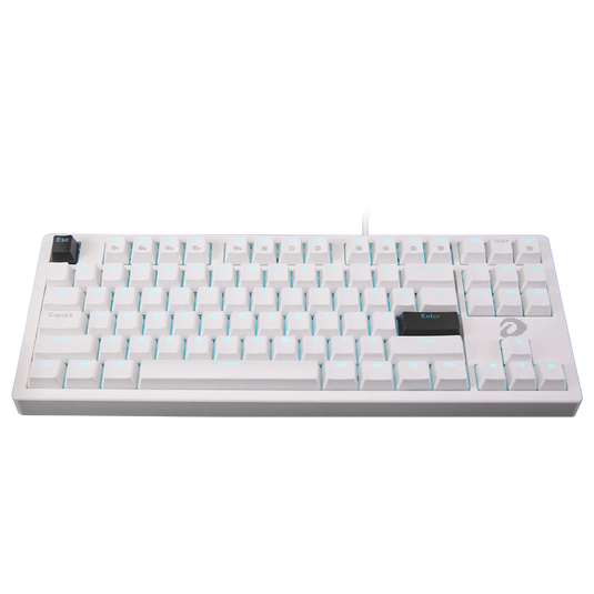 DAREU EK87 V2 | WHITE | ICE BLUE LED | 2 SIDES RGB STRIP | BLUE SWITCH | PC USB PORT | 87 KEYS | ABS DOUBLE INJECTION | D-SWITCH | LED LIGHT: RAINBOW | LED SIDE: PANEL | 6 MONTHS WARRANTY KEYBOARD
