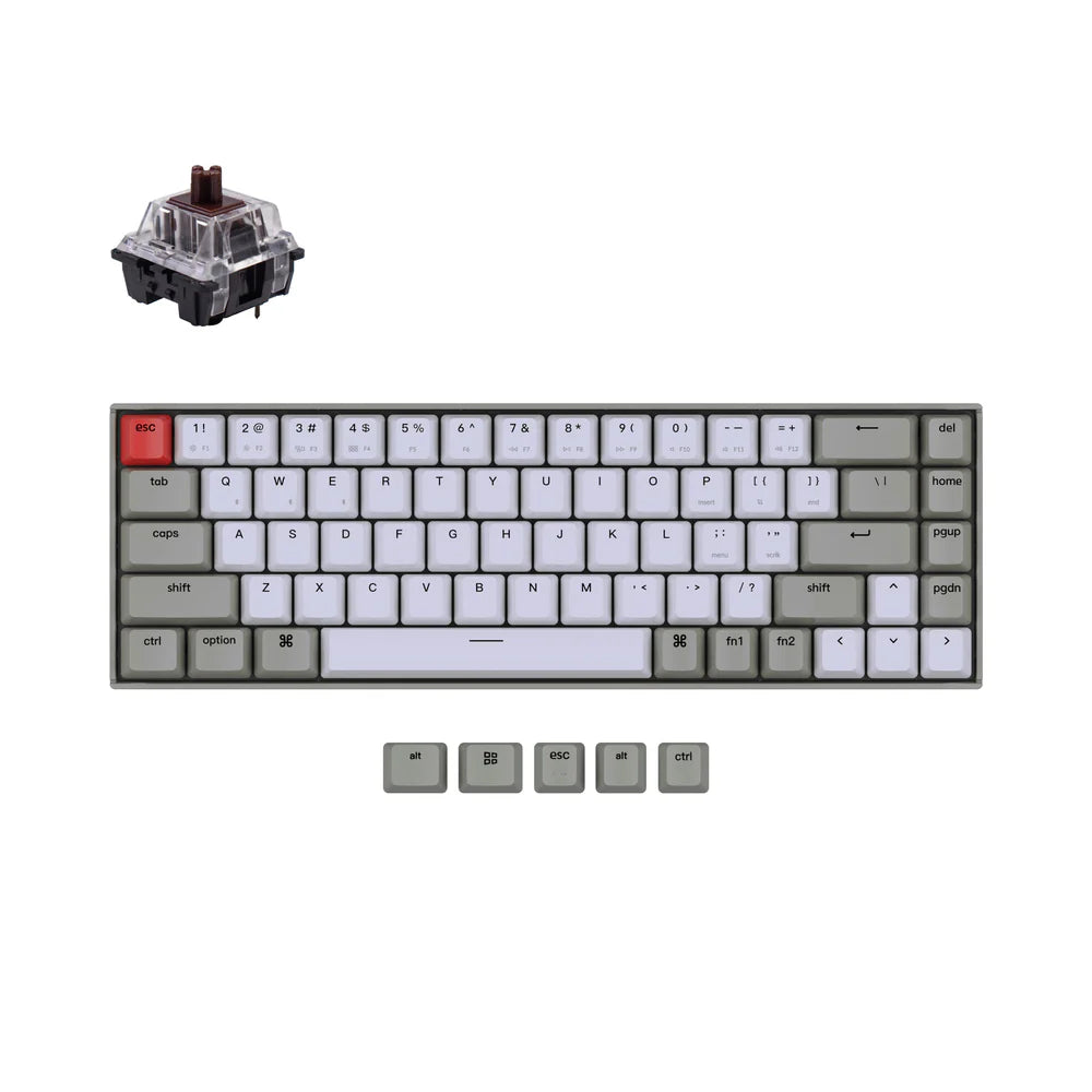KeyChron K6 RGB Backlight Brown 茶軸 Amazon.com: Keychron K6 Hot Swappable Wireless Bluetooth 5.1