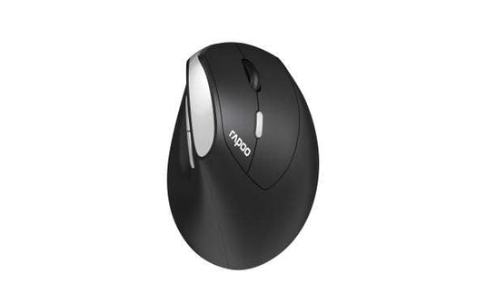 RAPOO EV250 SILENT WIRELESS ERGONOMIC MOUSE – Makotek Computer Sales Inc