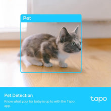 Load image into Gallery viewer, TL-LINK TAPO C225 PAN/TILT AI HOME SECURITY WI-FI CAMERA-CAMERA-Makotek Computers

